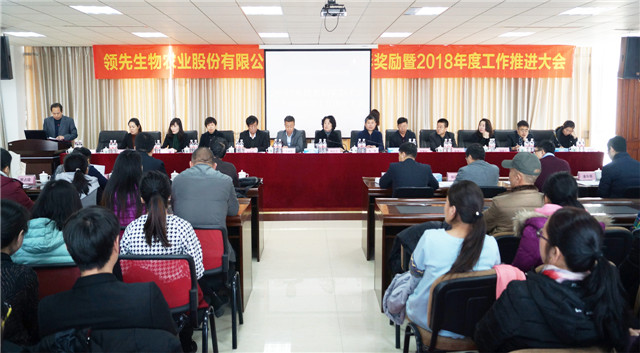 太阳成城集团召开2017年度表彰奖励大会暨2018年度工作推进大会