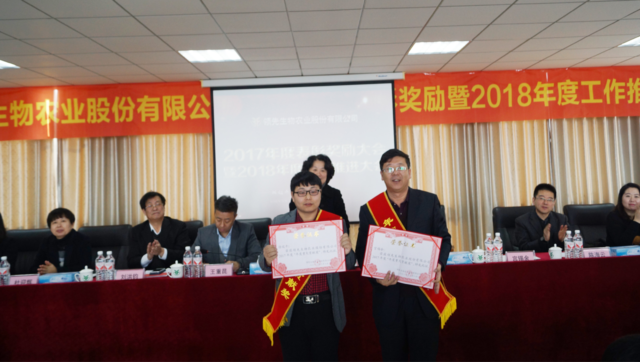 太阳成城集团召开2017年度表彰奖励大会暨2018年度工作推进大会