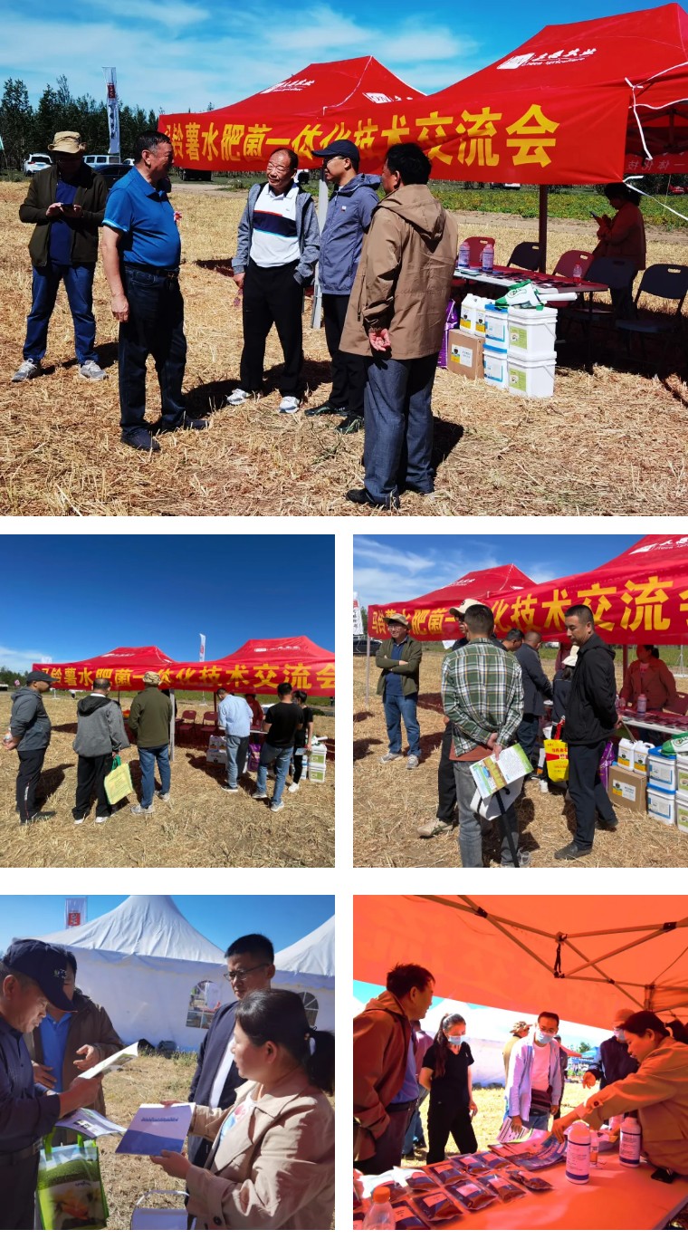 “乡”约沽源 “薯”光无限 | 太阳成城集团亮相久恩农业田间开放日