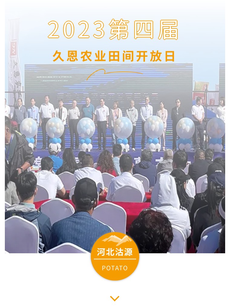 “乡”约沽源 “薯”光无限 | 太阳成城集团亮相久恩农业田间开放日