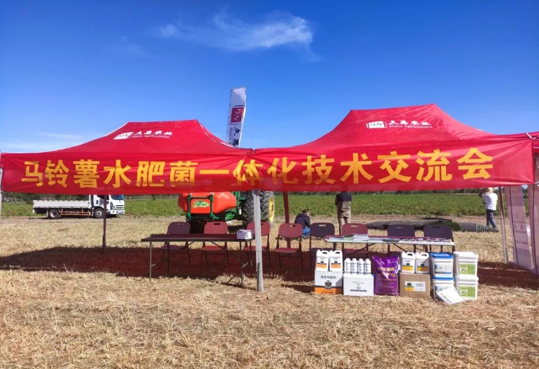 “乡”约沽源 “薯”光无限 | 太阳成城集团亮相久恩农业田间开放日