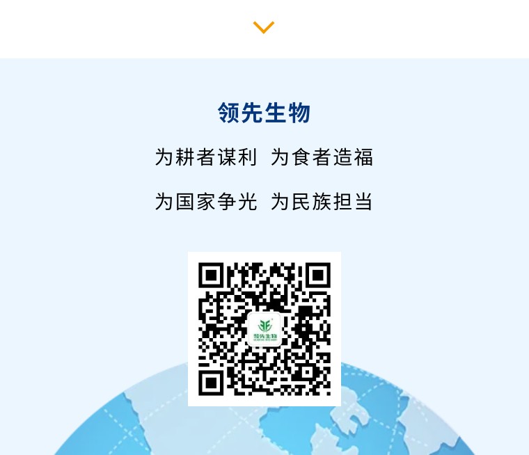 “乡”约沽源 “薯”光无限 | 太阳成城集团亮相久恩农业田间开放日